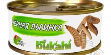 В росії дозволили переробку личинок і яєць мух – ЭКОНОМИКА
