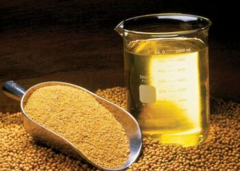 Ціни на соєву олію продовжують зростати – ЭКОНОМИКА