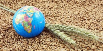 Експорт українського зерна перевищив 12 млн тонн – ЭКОНОМИКА
