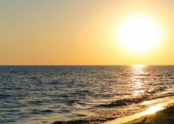 В Азовському морі зафіксовано критично низьку кількість риби – ЭКОНОМИКА