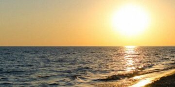 В Азовському морі зафіксовано критично низьку кількість риби – ЭКОНОМИКА