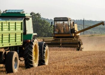 В Україні зібрано понад 67 млн тонн зернових та олійних культур – ЭКОНОМИКА