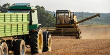 В Україні зібрано понад 67 млн тонн зернових та олійних культур – ЭКОНОМИКА