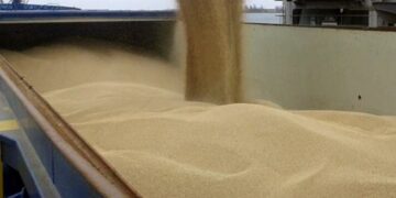 Українські порти збільшили перевалку зерна на 70% з початку року – ЭКОНОМИКА