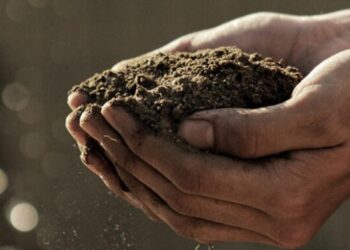 Більшість скарг на незаконні дії з держреєстрами стосуються агросектору – ЭКОНОМИКА