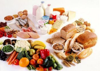 Стало відомо, що кардинально змінить агроринок – ЭКОНОМИКА