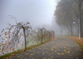 Якою буде погода у Запоріжжі – що прогнозують синоптики  | Новости Запорожья