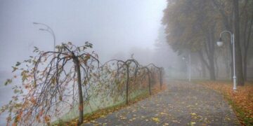 Якою буде погода у Запоріжжі – що прогнозують синоптики  | Новости Запорожья