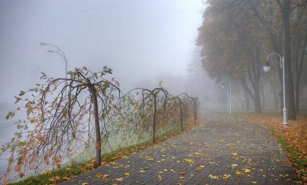 Якою буде погода у Запоріжжі – що прогнозують синоптики | Новости Запорожья