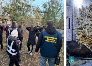 На Миколаївщині незаконне угрупування виготовляло та збувало психотропи