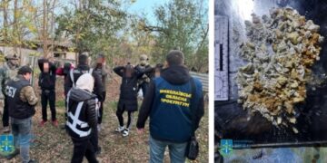 На Миколаївщині незаконне угрупування виготовляло та збувало психотропи