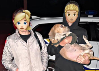 Патрульна поліція Запоріжжя допомогла родині дістатися дому у комендантську годину  | Новости Запорожья