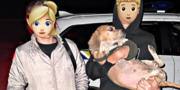 Патрульна поліція Запоріжжя допомогла родині дістатися дому у комендантську годину  | Новости Запорожья