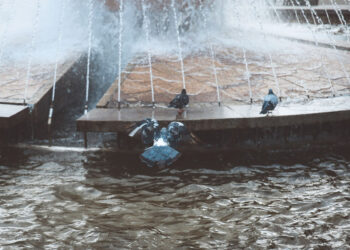 Площу Маяковського планують перейменувати – якою буде нова назва | Новости Запорожья