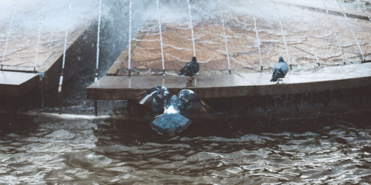 Площу Маяковського планують перейменувати – якою буде нова назва | Новости Запорожья