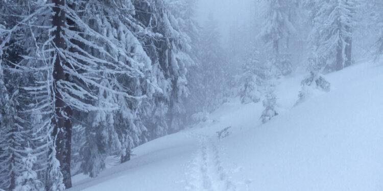 Прогноз погоди у Запоріжжі на 27-29 листопада | Новости Запорожья