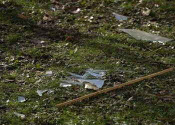 Ракетний удар по Запоріжжю 28 листопада, відео – внаслідок атаки постраждав зоомагазин | Новости Запорожья