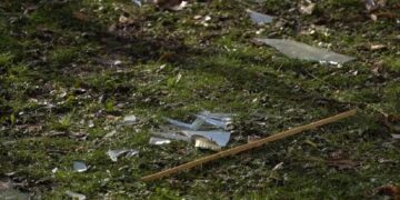 Ракетний удар по Запоріжжю 28 листопада, відео – внаслідок атаки постраждав зоомагазин | Новости Запорожья