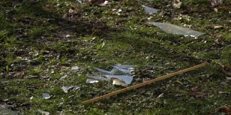 Ракетний удар по Запоріжжю 28 листопада, відео – внаслідок атаки постраждав зоомагазин | Новости Запорожья