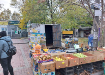 У Запоріжжі демонтували незаконний кіоск з продажу фруктів та овочів | Новости Запорожья