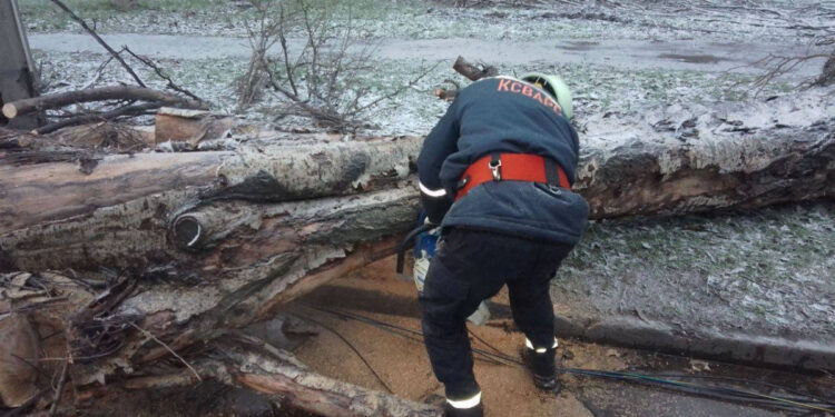 У Запоріжжі негода повалила дерева та знеструмила частину домівок – подробиці | Новости Запорожья
