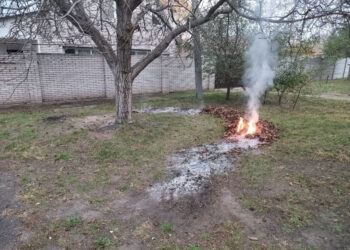 У Запоріжжі перевіряють власників приватних будинків щодо спалювання опалого листя  | Новости Запорожья