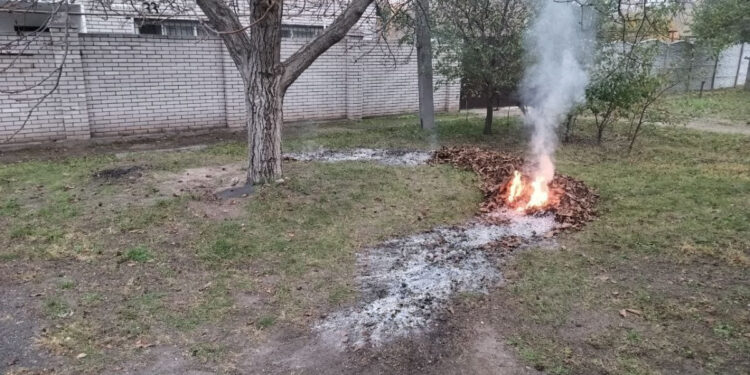 У Запоріжжі перевіряють власників приватних будинків щодо спалювання опалого листя | Новости Запорожья