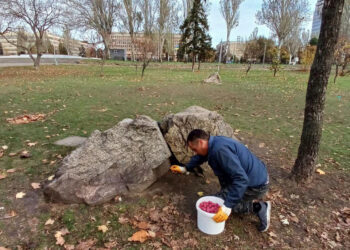 У Запоріжжі почали боротися з гризунами по місту – подробиці  | Новости Запорожья