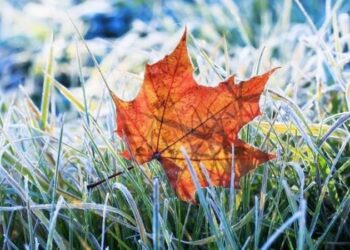 У Запоріжжі прогнозують перші морози та сніг – синоптики розповіли подробиці | Новости Запорожья
