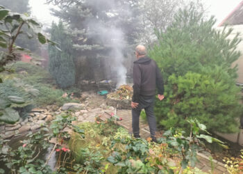 У Запоріжжі виявили чергового палія листя – чи отримав він покарання | Новости Запорожья