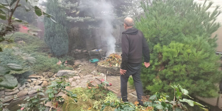 У Запоріжжі виявили чергового палія листя – чи отримав він покарання | Новости Запорожья