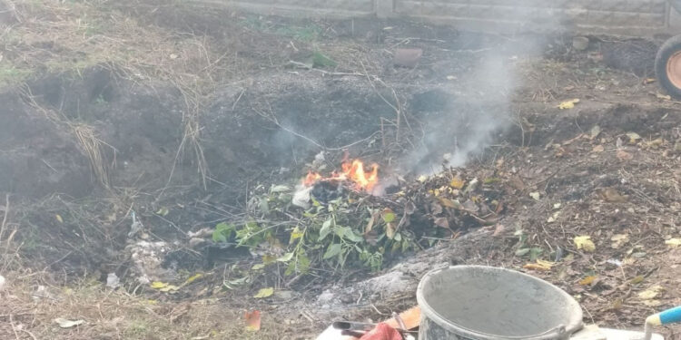У Запоріжжі виявили чоловіка, який спалював листя, порушуючи закон  | Новости Запорожья