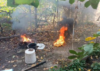 Запоріжці продовжують спалювати опале листя та труїти сусідів – фото | Новости Запорожья