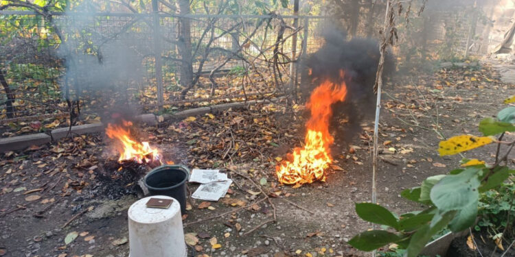 Запоріжці продовжують спалювати опале листя та труїти сусідів – фото | Новости Запорожья