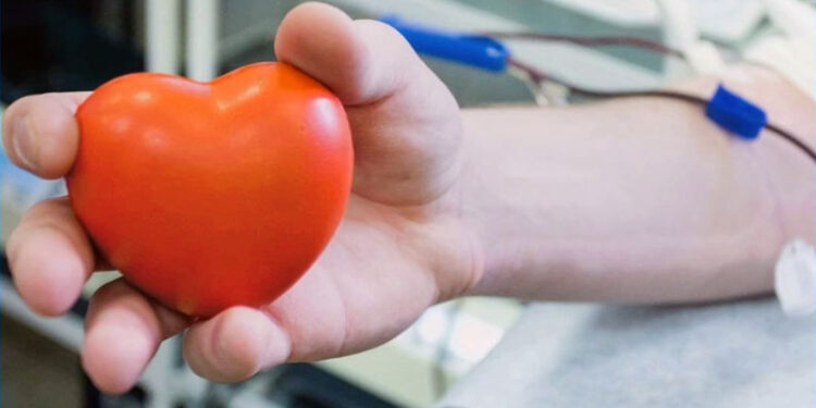 Запорізький обласний центр крові шукає донорів – як долучитися  | Новости Запорожья