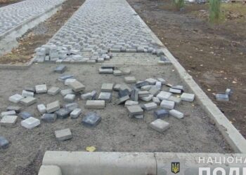 Зламав дерева та розкидав плитку біля Алеї Слави: на Миколаївщині затримали місцевого жителя