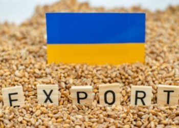 У грудні агроекспорт може перевищити 5 млн т – ЭКОНОМИКА