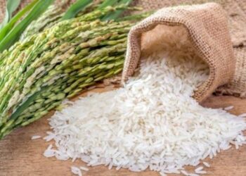 Ціни на рис підскочили до 15-річного максимуму – ЭКОНОМИКА