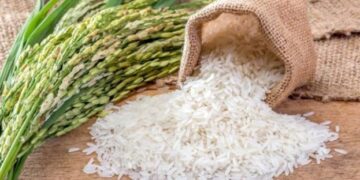 Ціни на рис підскочили до 15-річного максимуму – ЭКОНОМИКА