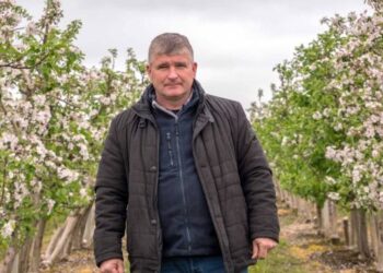 В Україні прогнозують подорожчання яблук – ЭКОНОМИКА