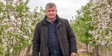 В Україні прогнозують подорожчання яблук – ЭКОНОМИКА