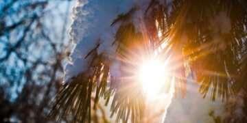 Аномальне тепло: на Черкащині температура повітря сягнула 10 градусів