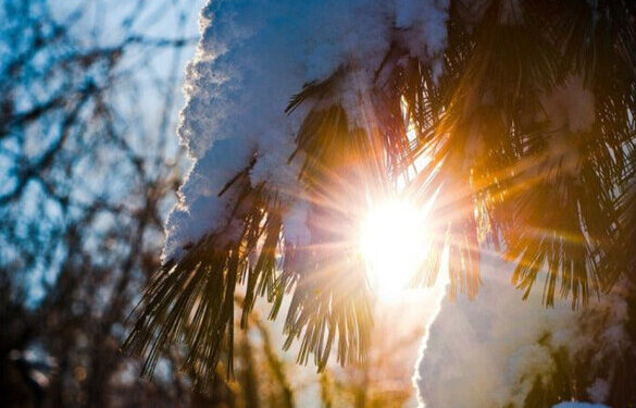 Аномальне тепло: на Черкащині температура повітря сягнула 10 градусів