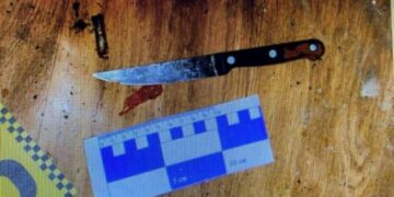 Брат убив брата: повідомлено про підозру та взято під варту звенигородця — Новости Черкасс