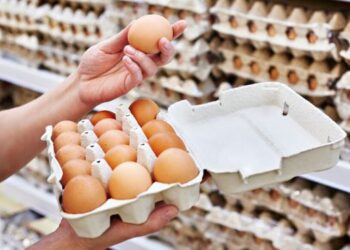 Вартість яєць знову зростає – ЭКОНОМИКА