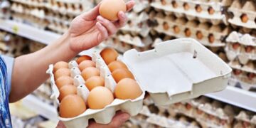 Вартість яєць знову зростає – ЭКОНОМИКА