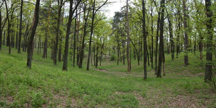 Громаді повернули ділянку за 158 мільйонів гривень