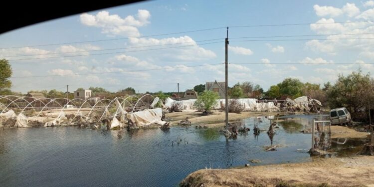 Як живе Олешківська громада: розмова з начальницею МВА Тетяною Гасаненко – Херсон