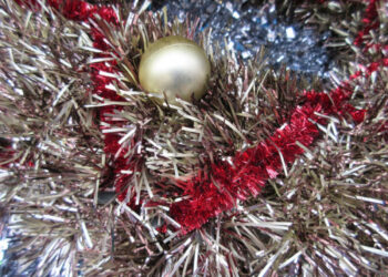 Яка погода буде у Запоріжжі 25, 26, 27 грудня  | Новости Запорожья