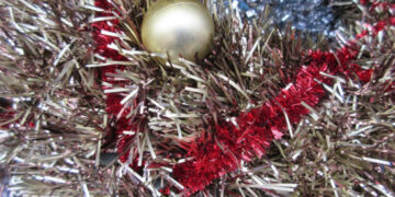 Яка погода буде у Запоріжжі 25, 26, 27 грудня  | Новости Запорожья